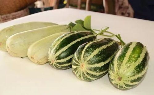 网红秃崽吃瓜,揭秘网红圈背后的秘密与争议